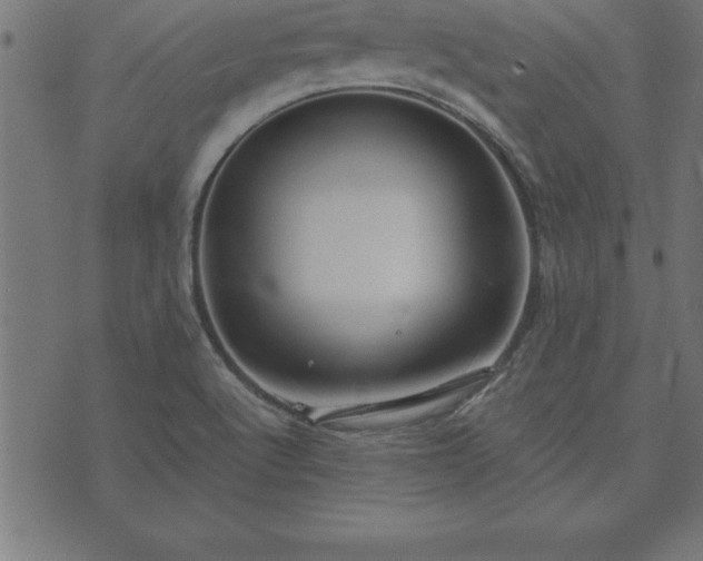 X0000073901512200608180946