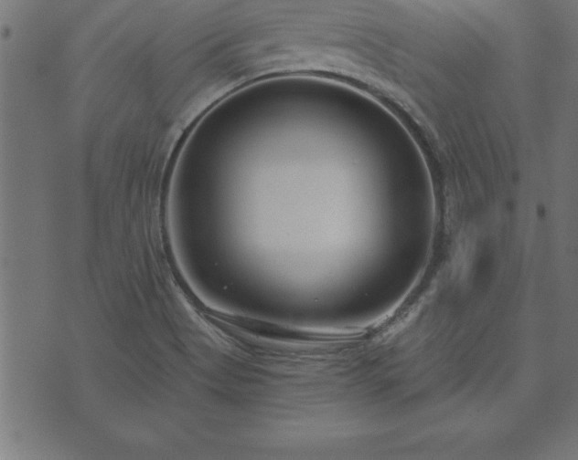 X0000073901513200608180946