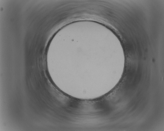 X0000073901514200608180946