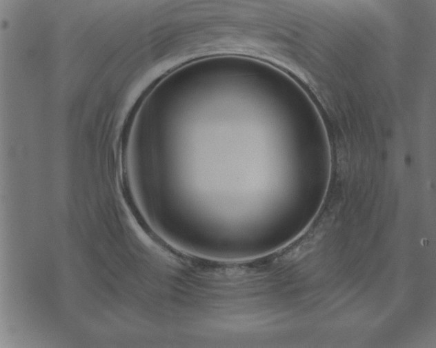 X0000073901515200608180946