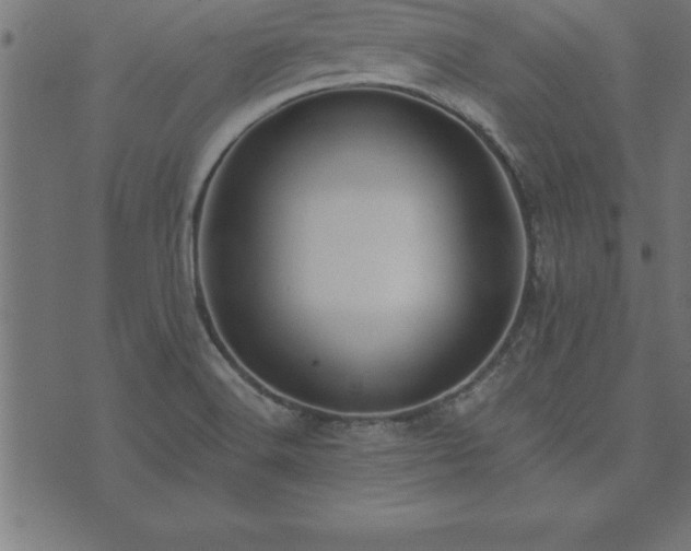 X0000073901516200608180946