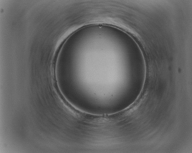 X0000073901517200608180946