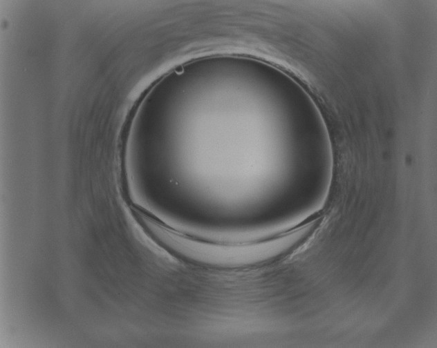 X0000073901518200608180946