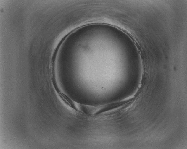 X0000073901519200608180946