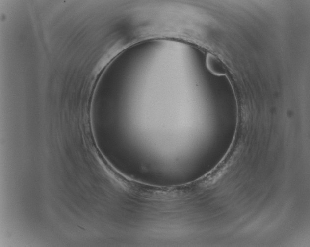 X0000073901521200608180946