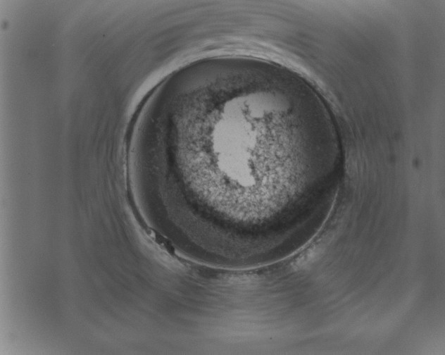 X0000073901522200608180946