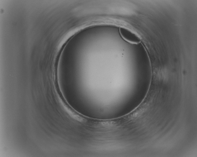 X0000073901523200608180946