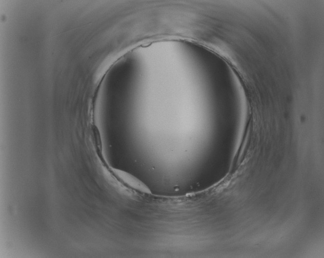 X0000073901524200608180946