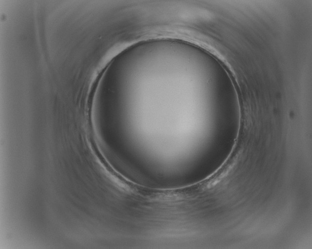 X0000073901525200608180946