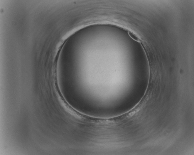 X0000073901526200608180946