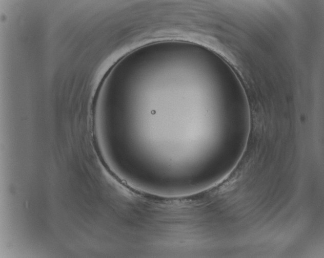 X0000073901527200608180946