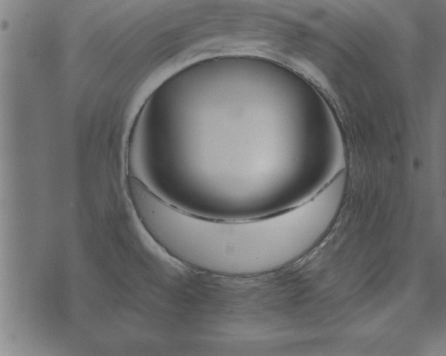 X0000073901528200608180946