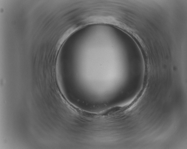 X0000073901529200608180946