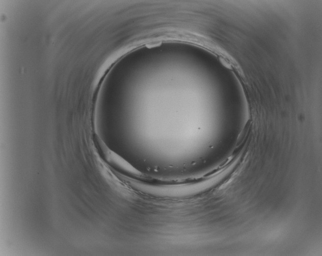 X0000073901530200608180946