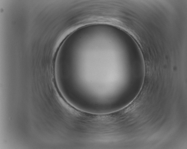 X0000073901531200608180946