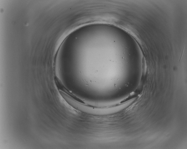 X0000073901532200608180946