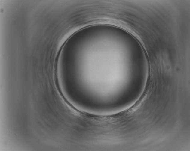 X0000073901533200608180946