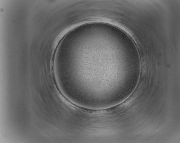 X0000073901535200608180946