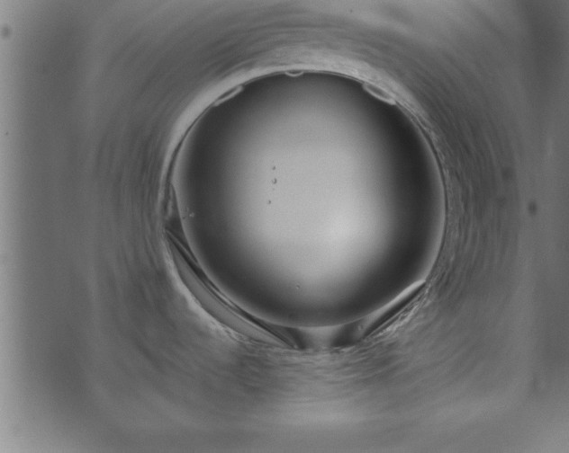 X0000073901536200608180946