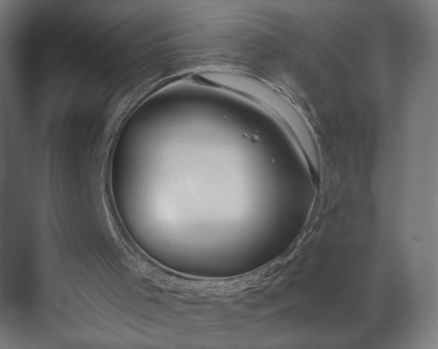 X0000073900001200608251509