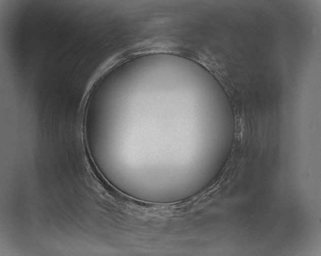 X0000073900004200608251509