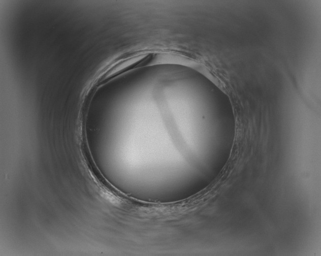 X0000073900005200608251509