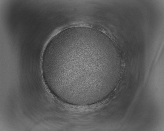 X0000073900006200608251509