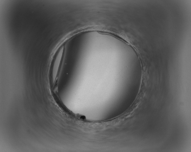 X0000073900007200608251509