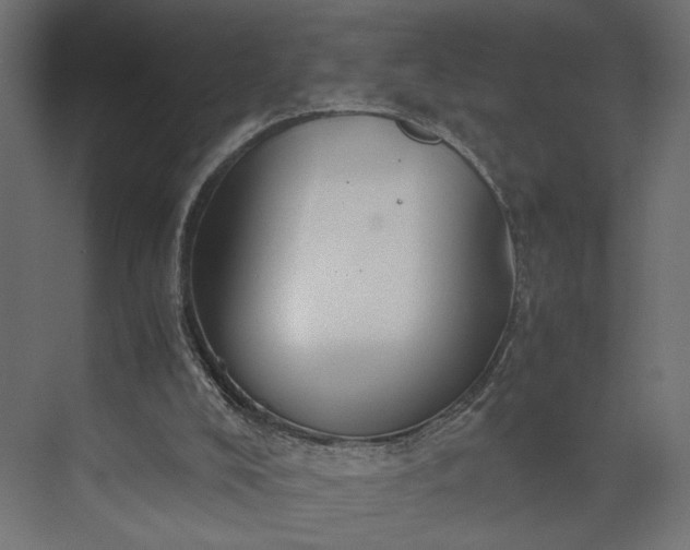 X0000073900008200608251509