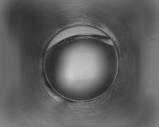 X0000073900009200608251509