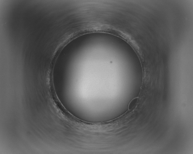 X0000073900010200608251509