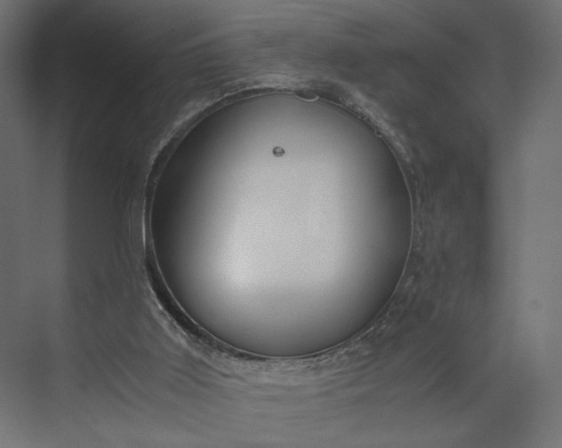 X0000073900011200608251509