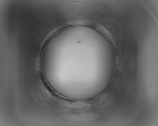 X0000073900012200608251509