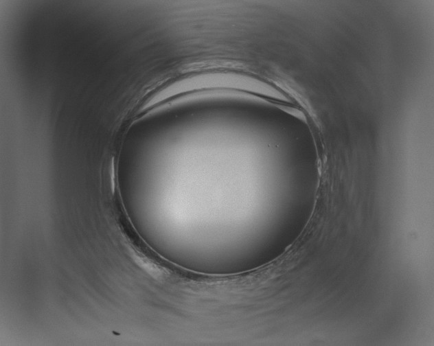 X0000073900013200608251509