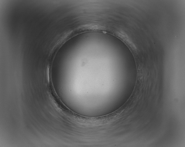 X0000073900014200608251509