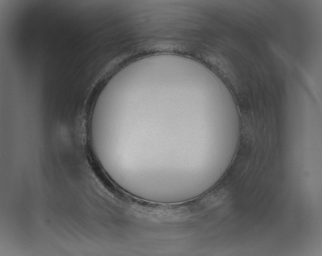 X0000073900016200608251509