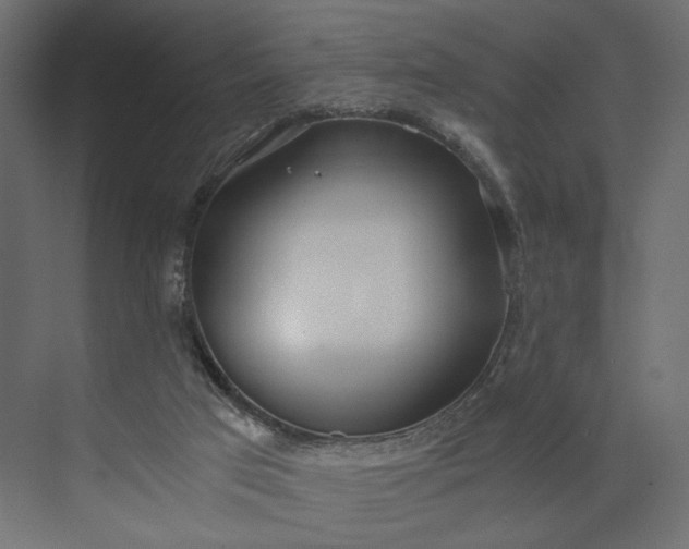 X0000073900017200608251509