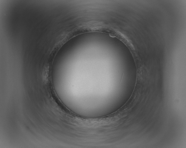 X0000073900018200608251509