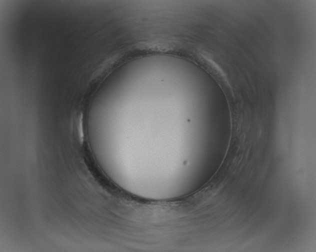 X0000073900020200608251509