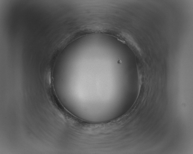 X0000073900021200608251509