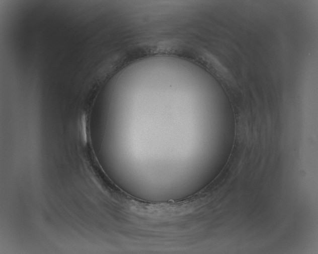 X0000073900022200608251509