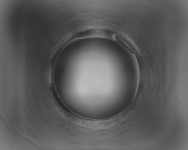 X0000073900023200608251509