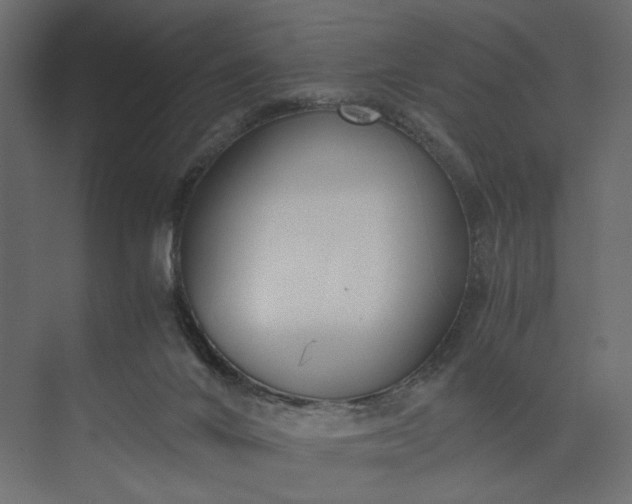 X0000073900024200608251509