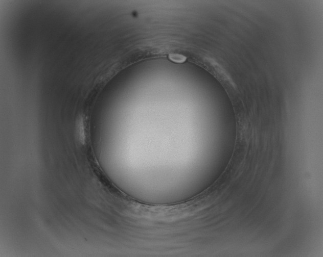 X0000073900026200608251509