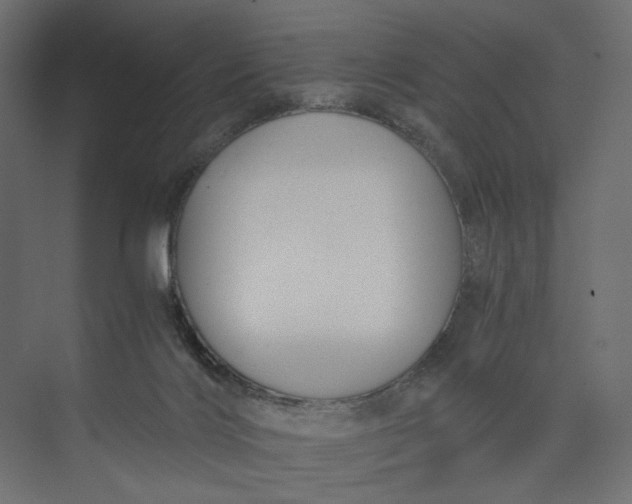 X0000073900028200608251509