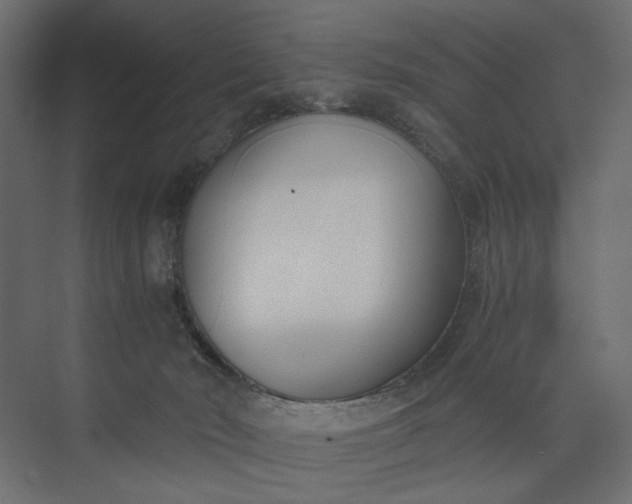 X0000073900030200608251509