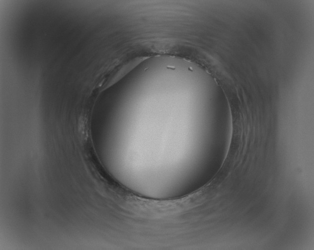 X0000073900031200608251509