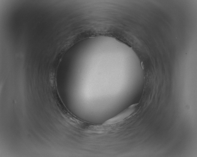 X0000073900033200608251509