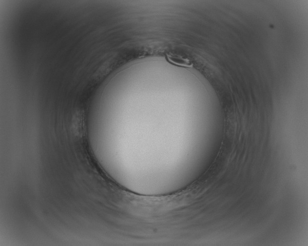 X0000073900034200608251509