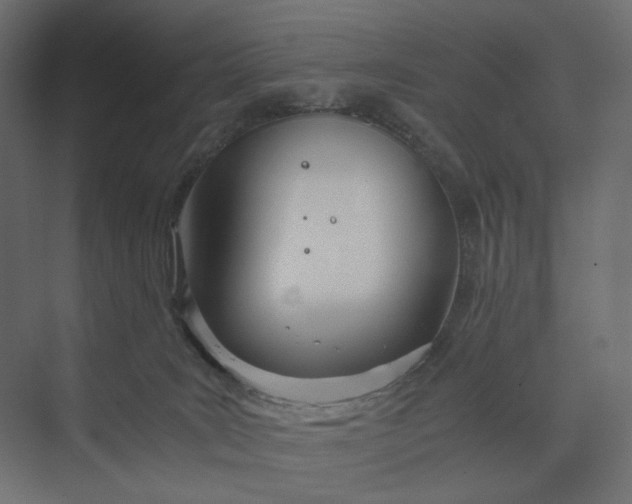 X0000073900035200608251509